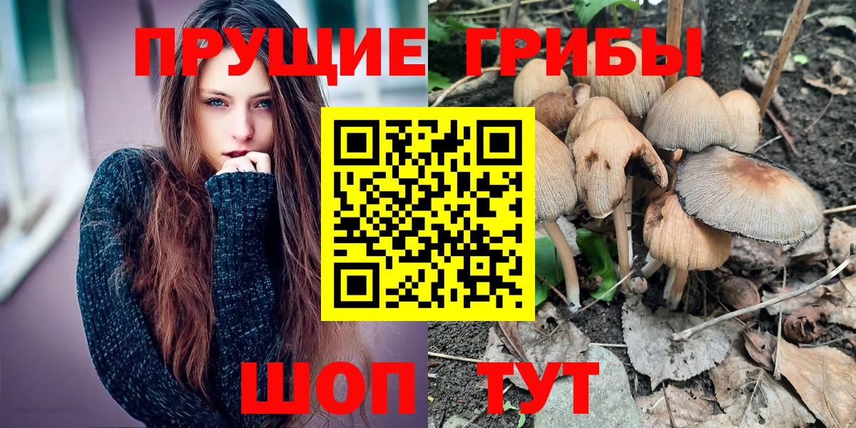 Псилоцибиновые грибы ЛСД Кумертау